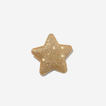 Glitter Star Small Clip